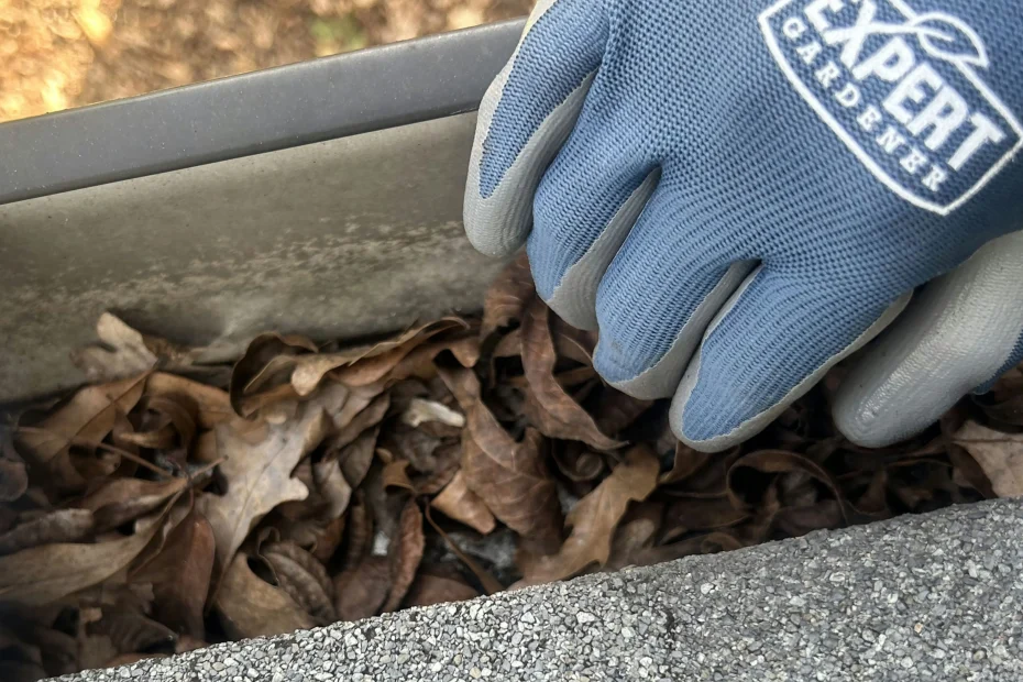 Gutter Cleaning Capitol Heights