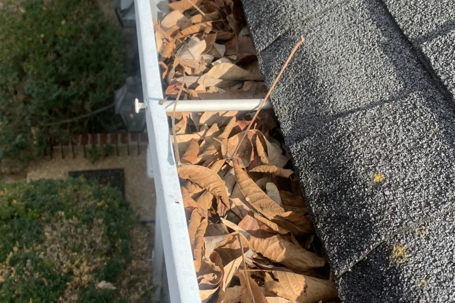 Gutter Cleaning Capitol Heights