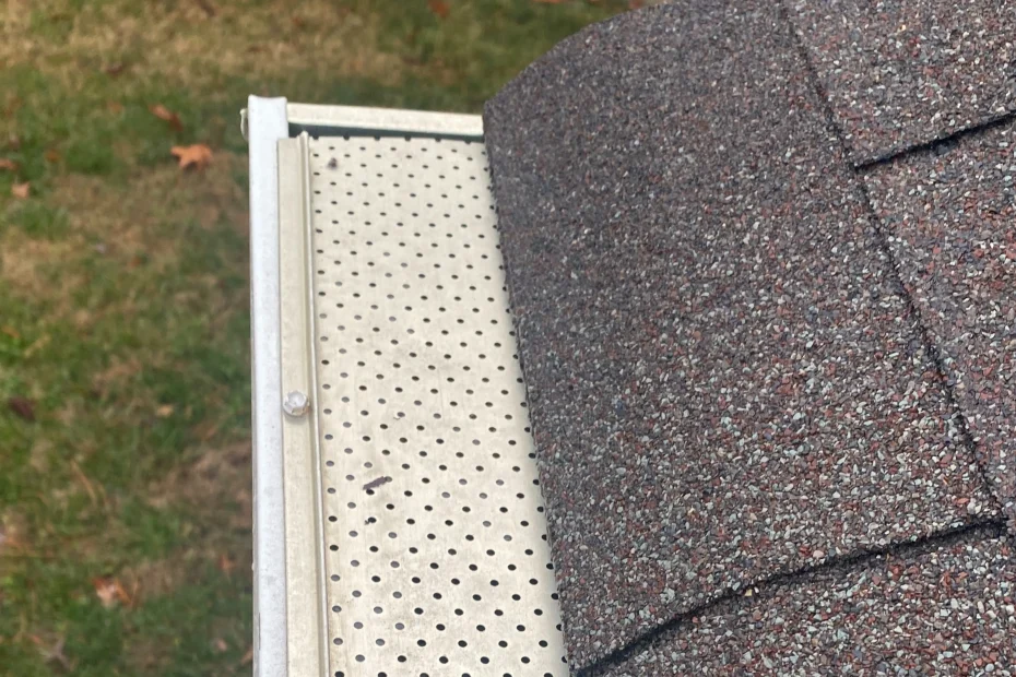 Gutter Cleaning Capitol Heights