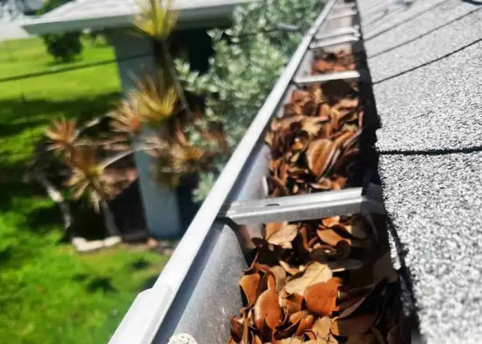 Gutter Cleaning Capitol Heights home page